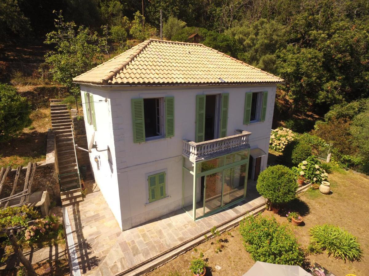 Aroma Green Villa Cagnano Exteriör bild